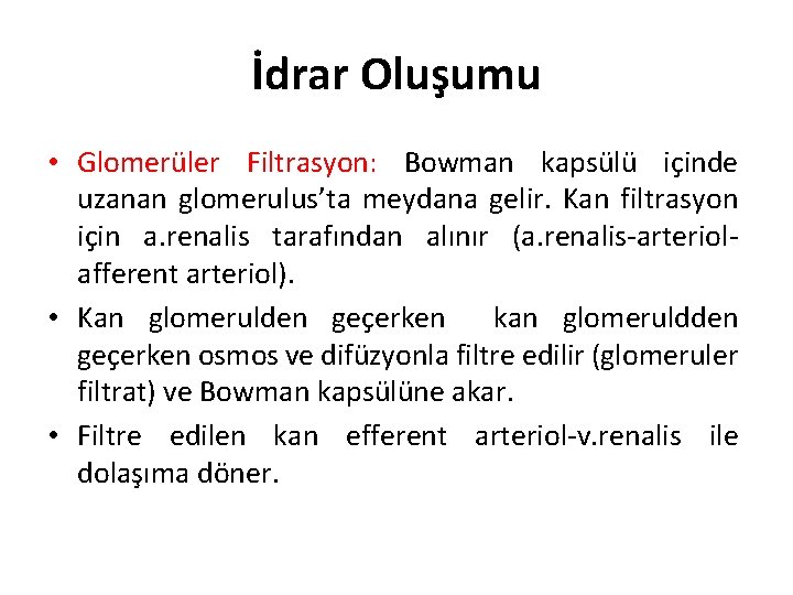 İdrar Oluşumu • Glomerüler Filtrasyon: Bowman kapsülü içinde uzanan glomerulus’ta meydana gelir. Kan filtrasyon