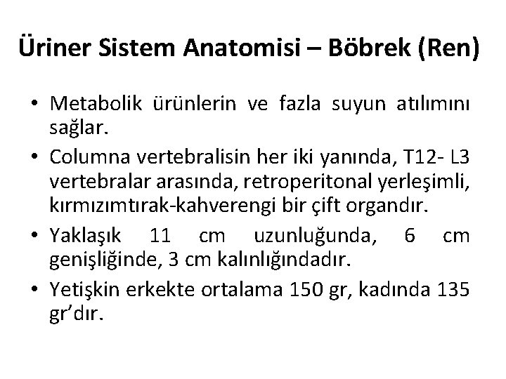 Üriner Sistem Anatomisi – Böbrek (Ren) • Metabolik ürünlerin ve fazla suyun atılımını sağlar.