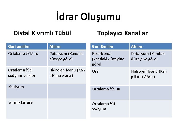 İdrar Oluşumu Distal Kıvrımlı Tübül Toplayıcı Kanallar Geri emilim Atılım Geri Emilim Atılım Ortalama