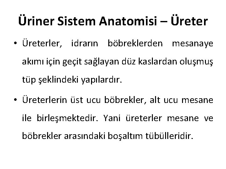 Üriner Sistem Anatomisi – Üreter • Üreterler, idrarın böbreklerden mesanaye akımı için geçit sağlayan