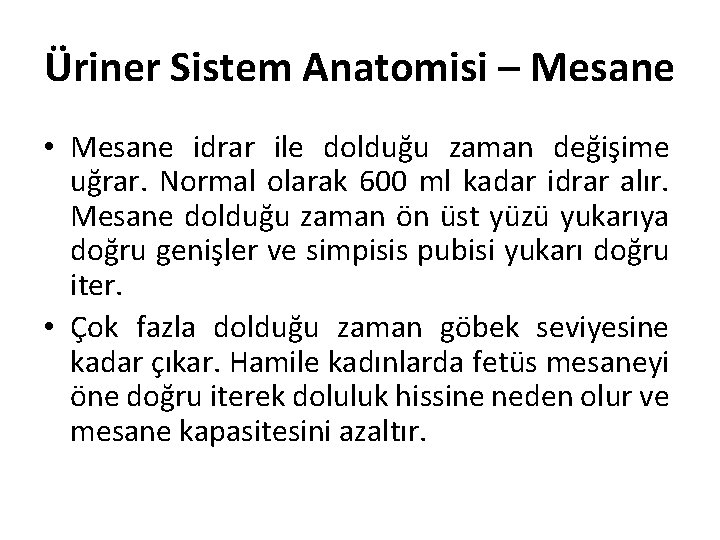 Üriner Sistem Anatomisi – Mesane • Mesane idrar ile dolduğu zaman değişime uğrar. Normal