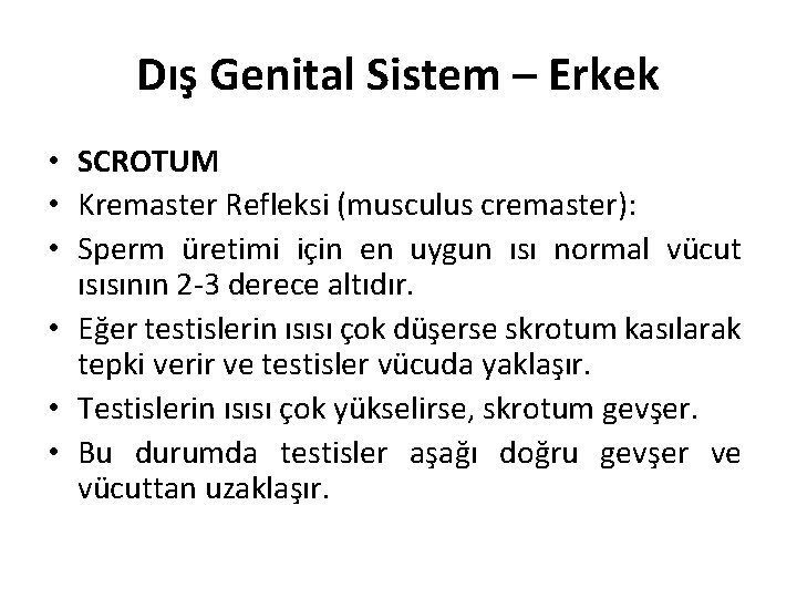 Dış Genital Sistem – Erkek • SCROTUM • Kremaster Refleksi (musculus cremaster): • Sperm