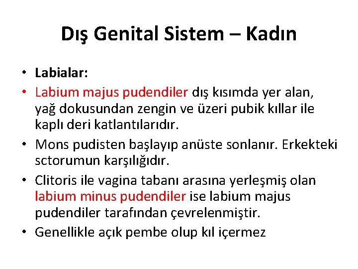Dış Genital Sistem – Kadın • Labialar: • Labium majus pudendiler dış kısımda yer