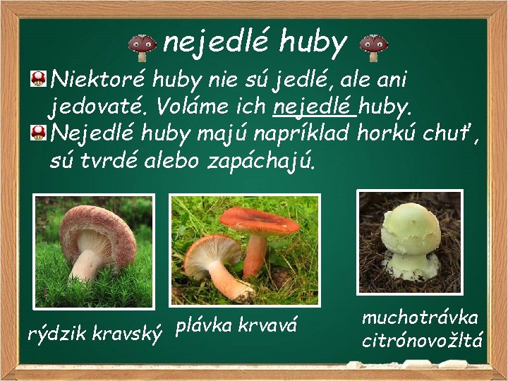 nejedlé huby Niektoré huby nie sú jedlé, ale ani jedovaté. Voláme ich nejedlé huby.