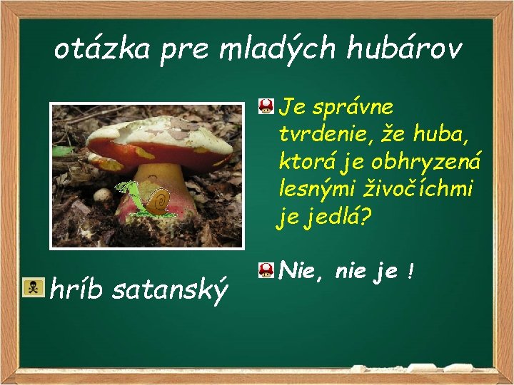 otázka pre mladých hubárov Je správne tvrdenie, že huba, ktorá je obhryzená lesnými živočíchmi