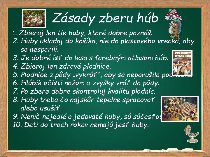 Zásady zberu húb 1. Zbieraj len tie huby, ktoré dobre poznáš. 2. Huby ukladaj