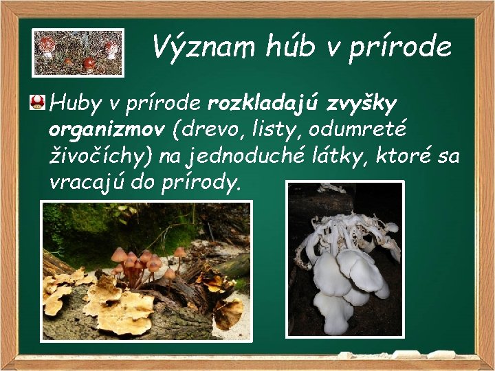 Význam húb v prírode Huby v prírode rozkladajú zvyšky organizmov (drevo, listy, odumreté živočíchy)