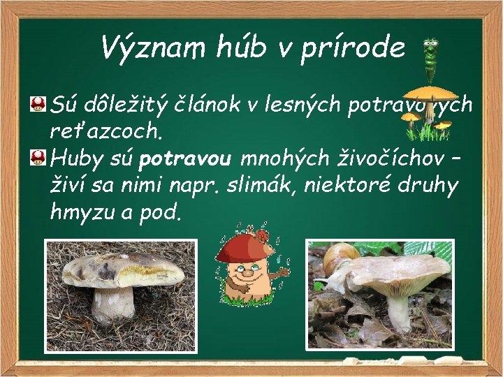 Význam húb v prírode Sú dôležitý článok v lesných potravových reťazcoch. Huby sú potravou