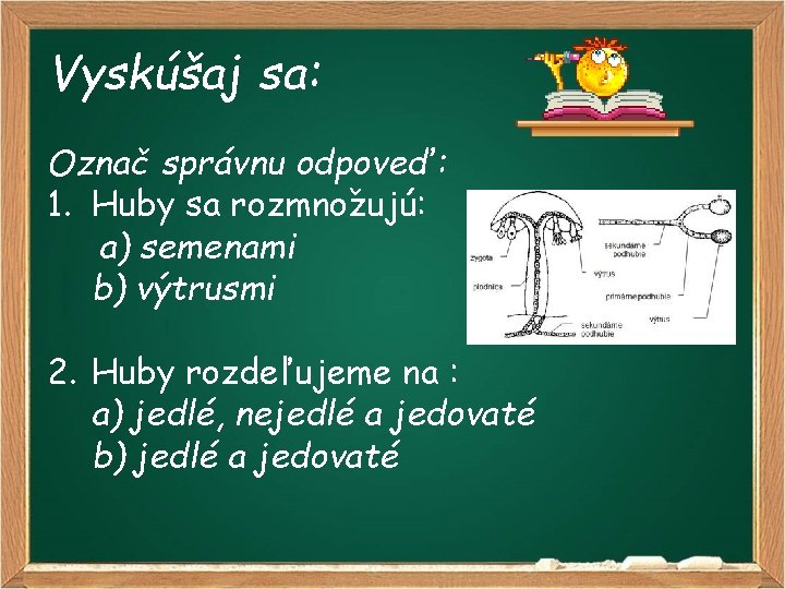 Vyskúšaj sa: Označ správnu odpoveď: 1. Huby sa rozmnožujú: a) semenami b) výtrusmi 2.