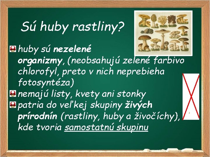 Sú huby rastliny? huby sú nezelené organizmy, (neobsahujú zelené farbivo chlorofyl, preto v nich