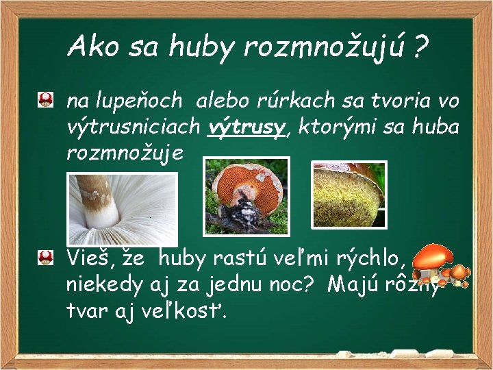 Ako sa huby rozmnožujú ? na lupeňoch alebo rúrkach sa tvoria vo výtrusniciach výtrusy,