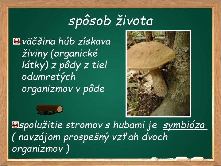 spôsob života väčšina húb získava živiny (organické látky) z pôdy z tiel odumretých organizmov