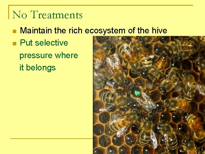 No Treatments Maintain the rich ecosystem of the hive Put selective pressure where it