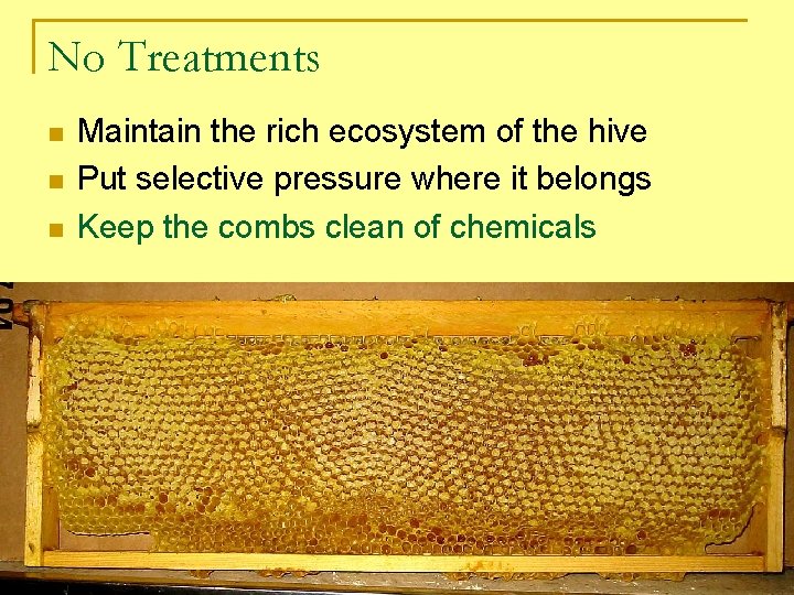 No Treatments Maintain the rich ecosystem of the hive Put selective pressure where it