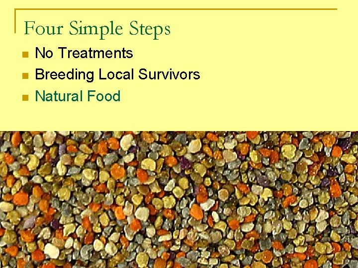 Four Simple Steps No Treatments Breeding Local Survivors Natural Food 