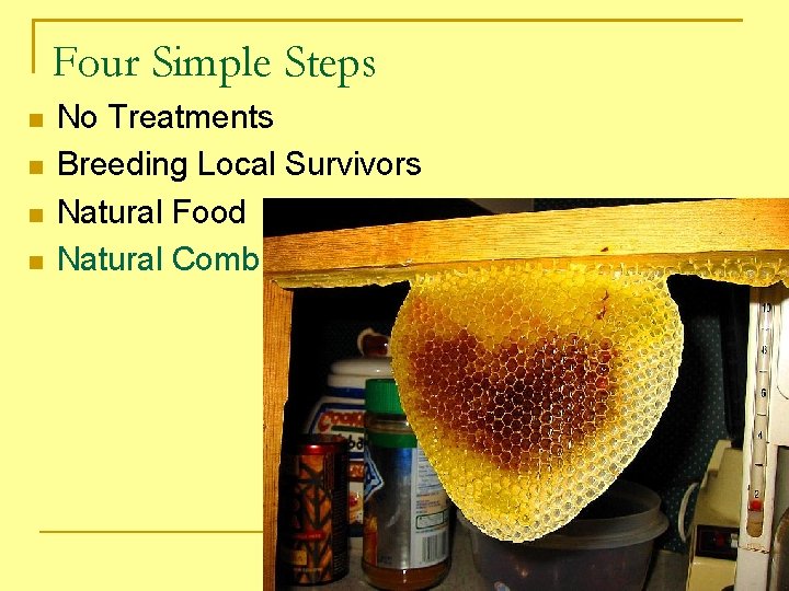 Four Simple Steps No Treatments Breeding Local Survivors Natural Food Natural Comb 