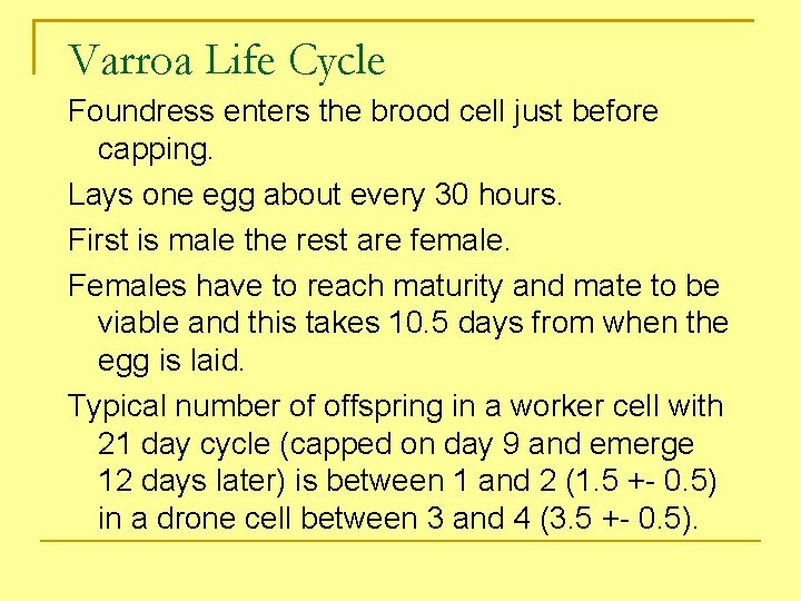Varroa Life Cycle Foundress enters the brood cell just before capping. Lays one egg