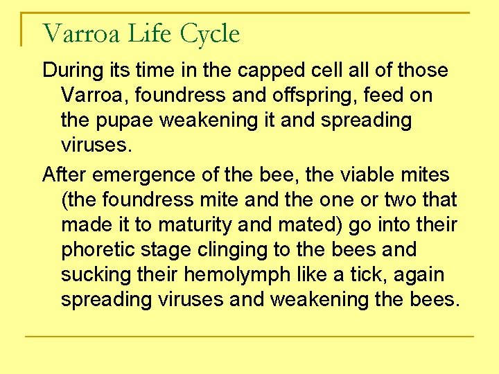 Varroa Life Cycle During its time in the capped cell all of those Varroa,