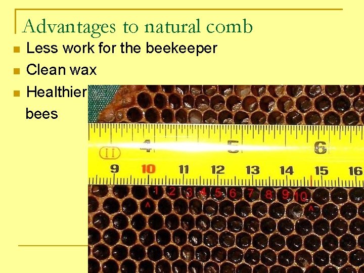Advantages to natural comb Less work for the beekeeper Clean wax Healthier bees 