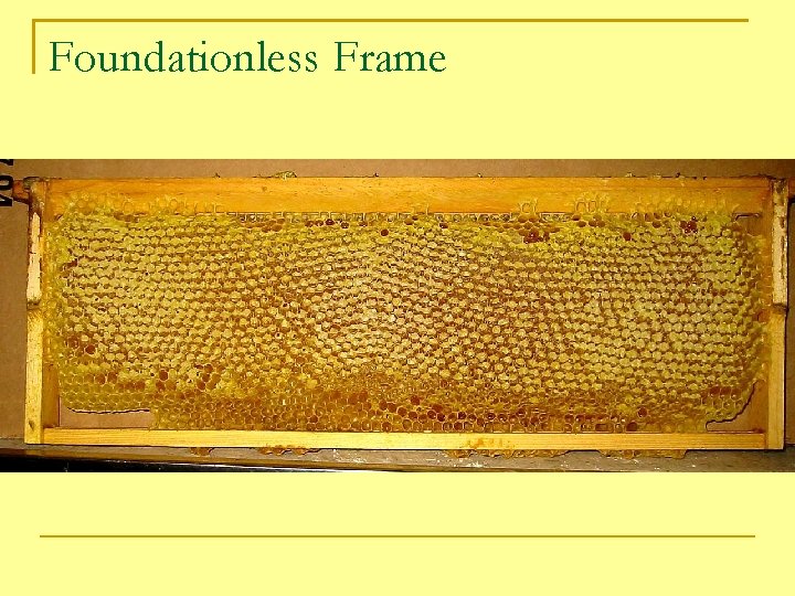 Foundationless Frame 