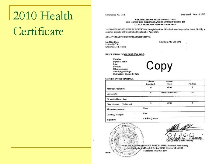 2010 Health Certificate 