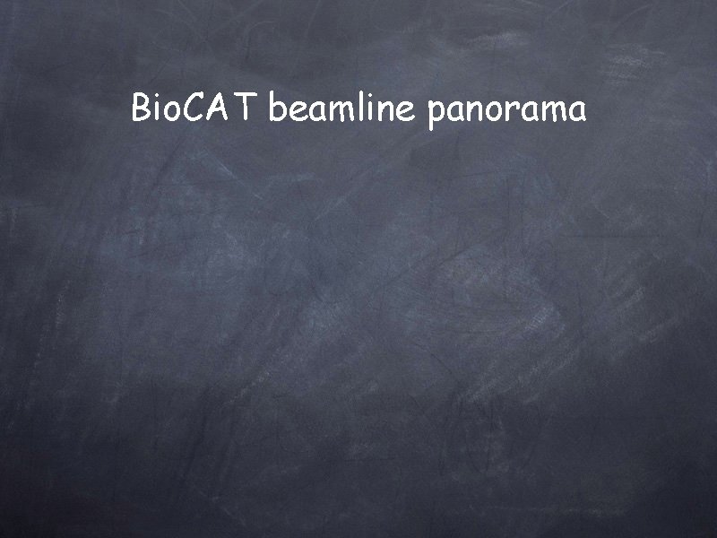 Bio. CAT beamline panorama 
