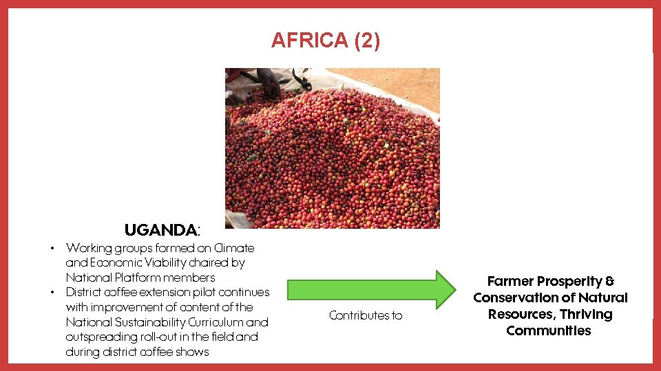 AFRICA (2) UGANDA: • Working groups formed on Climate and Economic Viability chaired by