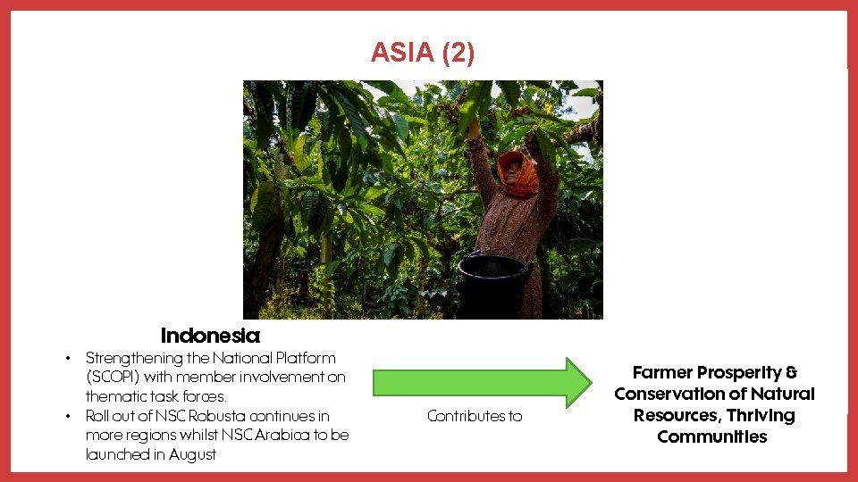 ASIA (2) Indonesia: • Strengthening the National Platform (SCOPI) with member involvement on thematic