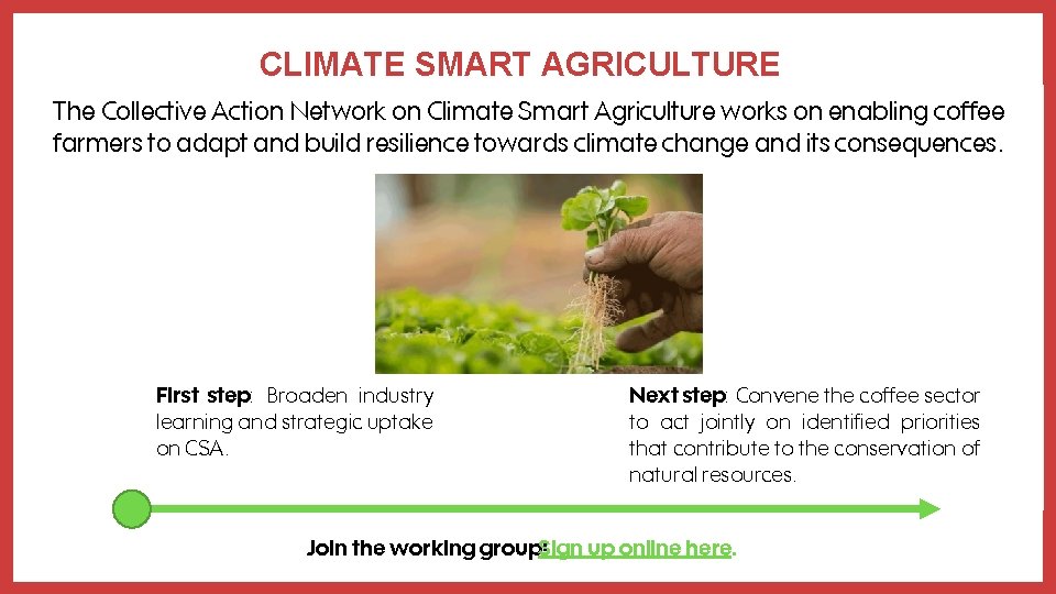 CLIMATE SMART AGRICULTURE The Collective Action Network on Climate Smart Agriculture works on enabling