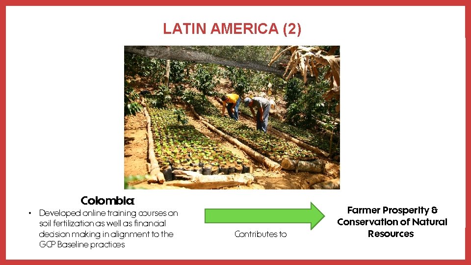 LATIN AMERICA (2) Colombia: • Developed online training courses on soil fertilization as well