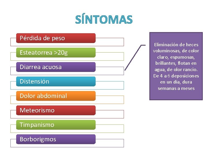 SÍNTOMAS Pérdida de peso Esteatorrea >20 g Diarrea acuosa Distensión Dolor abdominal Meteorismo Timpanismo