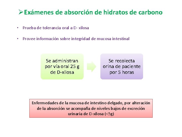 ØExámenes de absorción de hidratos de carbono • Prueba de tolerancia oral a D-