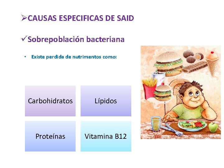 ØCAUSAS ESPECIFICAS DE SAID üSobrepoblación bacteriana • Existe perdida de nutrimentos como: Carbohidratos Lípidos