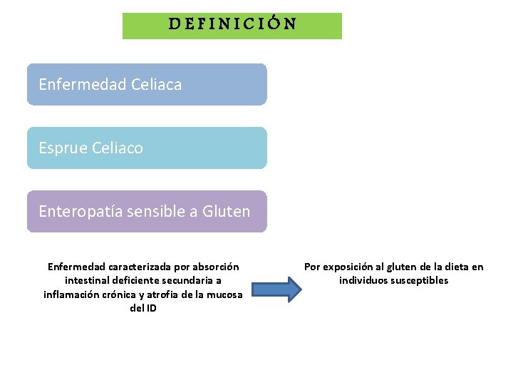 DEFINICIÓN Enfermedad Celiaca Esprue Celiaco Enteropatía sensible a Gluten Enfermedad caracterizada por absorción intestinal