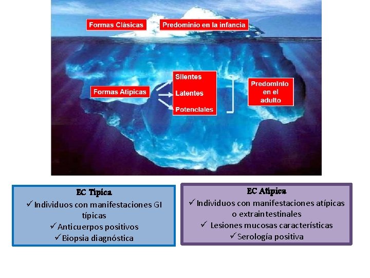 EC Típica üIndividuos con manifestaciones GI típicas üAnticuerpos positivos üBiopsia diagnóstica EC Atípica üIndividuos