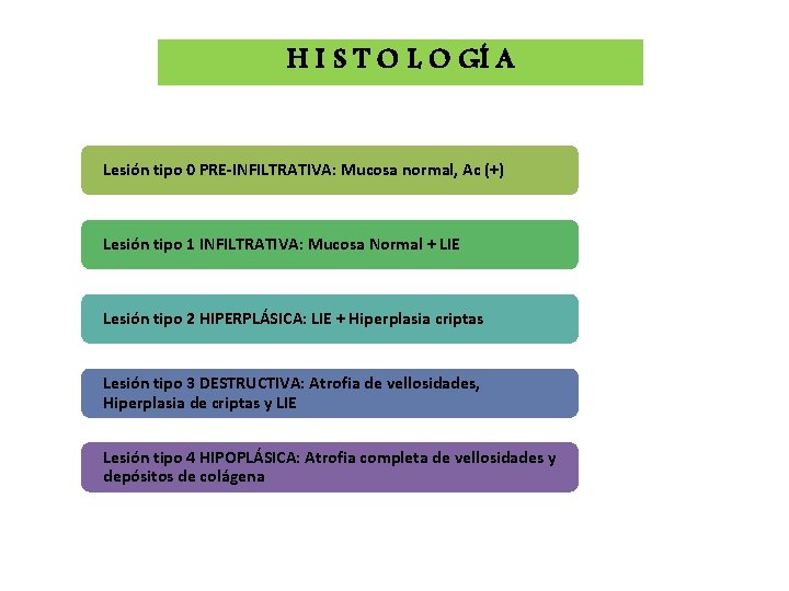 H I S T O L O GÍ A Lesión tipo 0 PRE-INFILTRATIVA: Mucosa