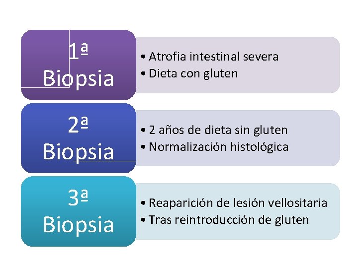 1ª Biopsia • Atrofia intestinal severa • Dieta con gluten 2ª Biopsia • 2