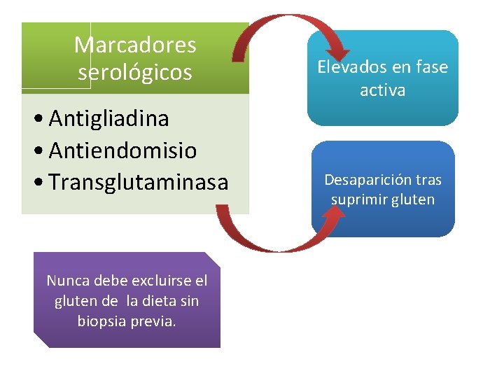 Marcadores serológicos • Antigliadina • Antiendomisio • Transglutaminasa Nunca debe excluirse el gluten de