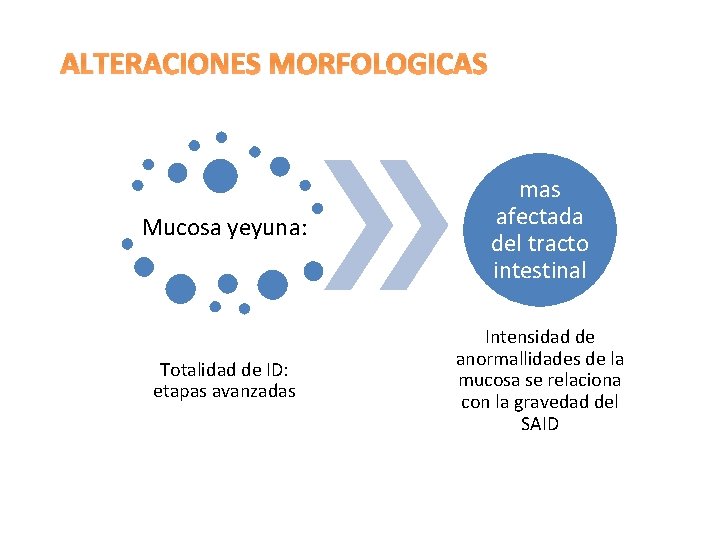 ALTERACIONES MORFOLOGICAS Mucosa yeyuna: mas afectada del tracto intestinal Totalidad de ID: etapas avanzadas