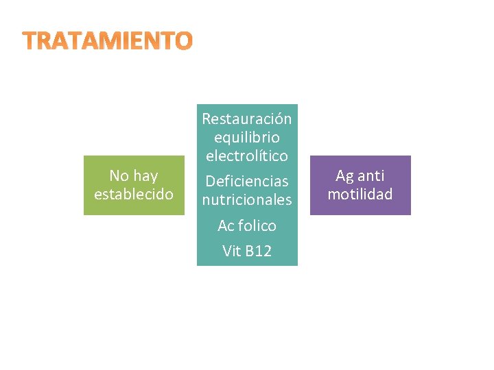 TRATAMIENTO No hay establecido Restauración equilibrio electrolítico Deficiencias nutricionales Ac folico Vit B 12