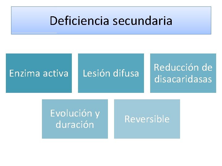 Deficiencia secundaria Enzima activa Lesión difusa Evolución y duración Reducción de disacaridasas Reversible 