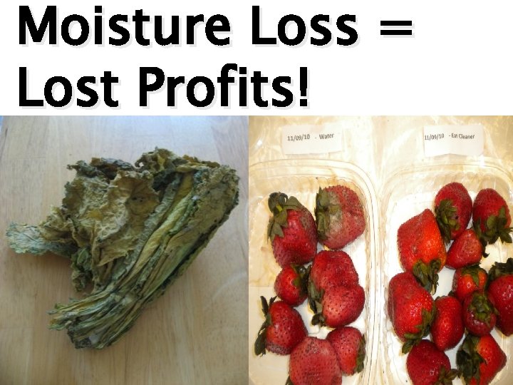Moisture Loss = Lost Profits! 