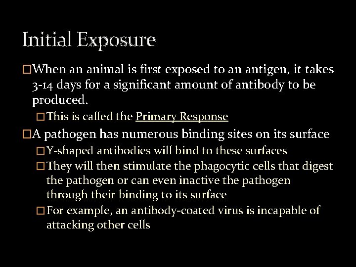 Initial Exposure �When an animal is first exposed to an antigen, it takes 3