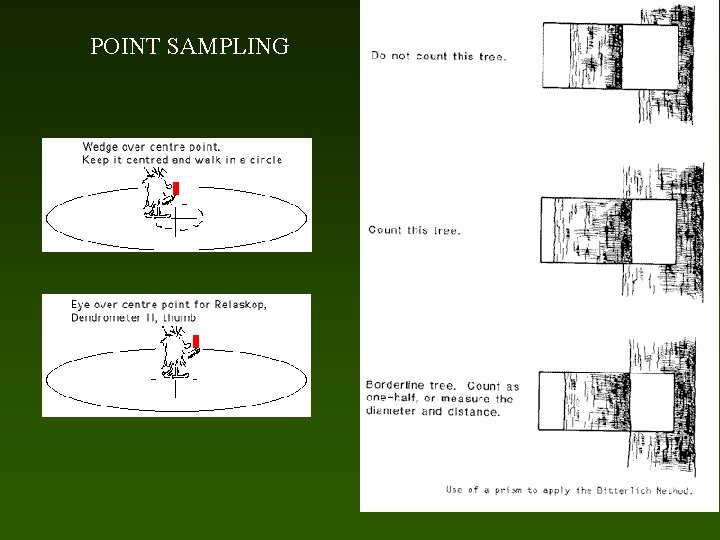 POINT SAMPLING 