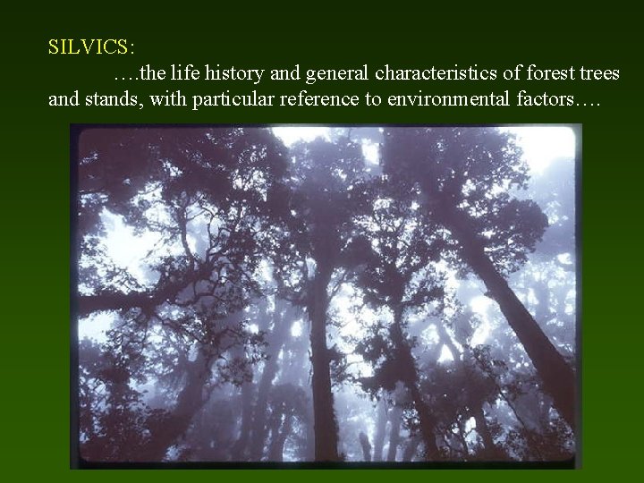 SILVICS: …. the life history and general characteristics of forest trees and stands, with