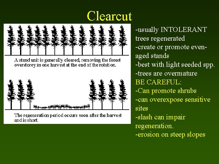 Clearcut -usually INTOLERANT trees regenerated -create or promote evenaged stands -best with light seeded