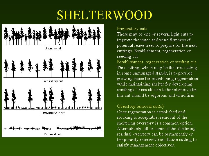 SHELTERWOOD Preparatory cuts These may be one or several light cuts to improve the