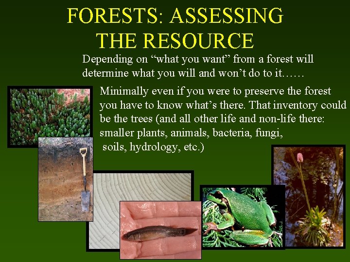 FORESTS: ASSESSING THE RESOURCE Depending on “what you want” from a forest will determine