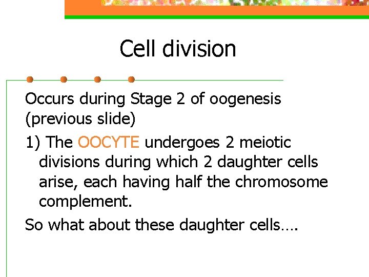 Cell division Occurs during Stage 2 of oogenesis (previous slide) 1) The OOCYTE undergoes
