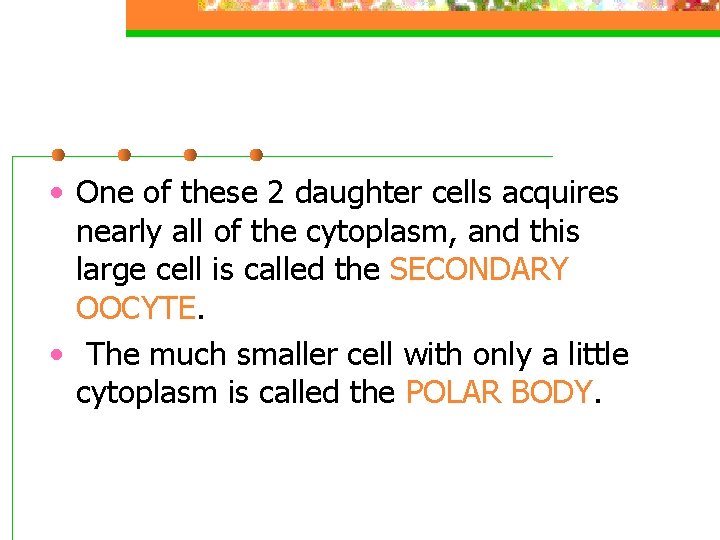  • One of these 2 daughter cells acquires nearly all of the cytoplasm,